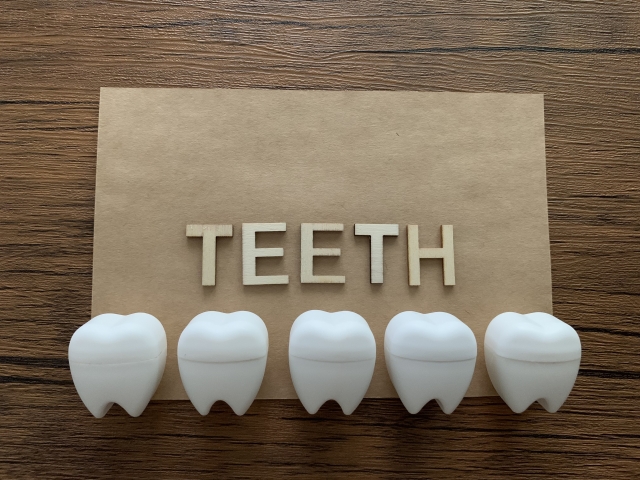 健康な歯のイメージ